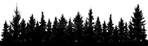 Tree Silhouette Black Vector Isolated Set Forest Trees On White