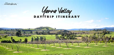 Yarra Valley Day Trip Itinerary From Melbourne For All Seasons