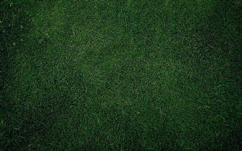 1920x1080px 1080p Free Download Grass Texture Green Grass Green