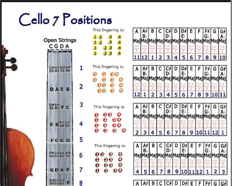 Cello 7 Positions Chart Etsy