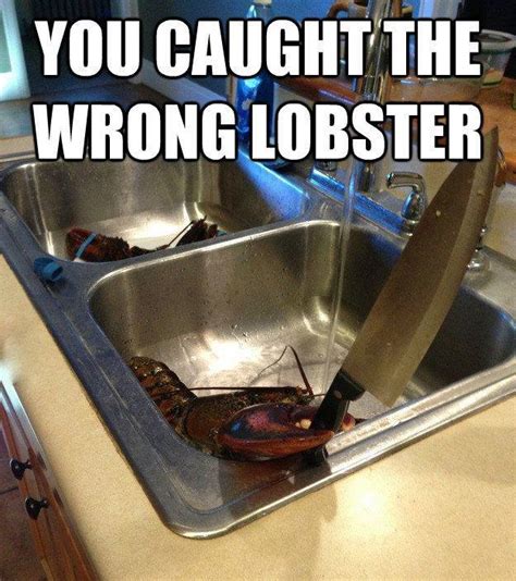 Lobster Funny Quotes Quotesgram