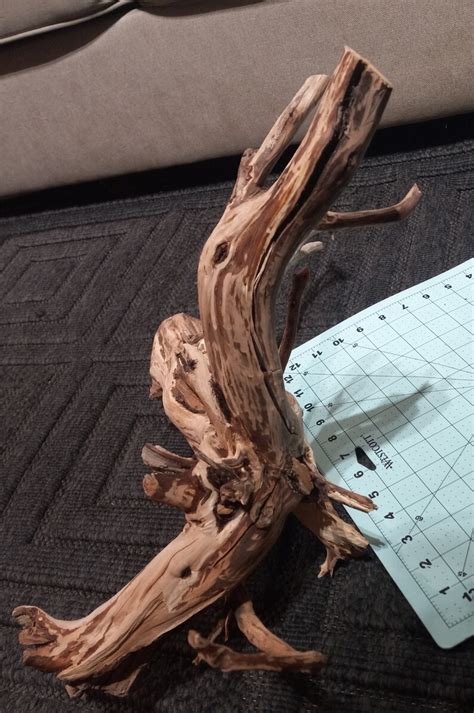 Manzanita Stump And Root Driftwood Etsy