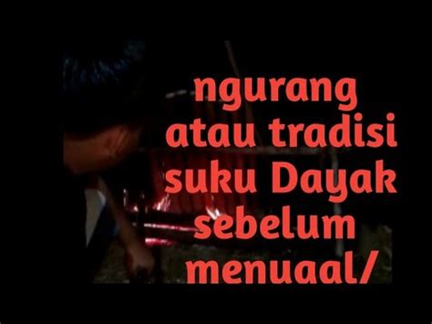 Tradisi Suku Dayak Penihing Aoheng Sebelum Menanam Padi Youtube