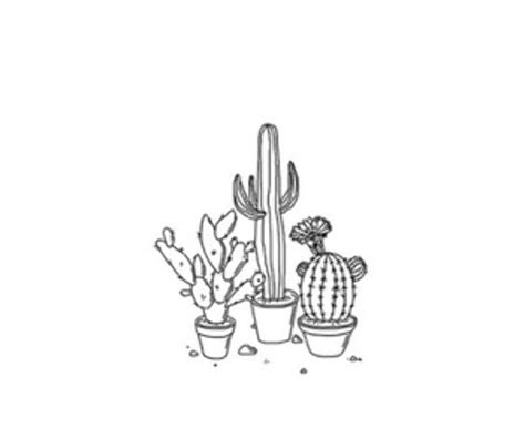 Download High Quality Cactus Clipart Minimalist Transparent Png Images