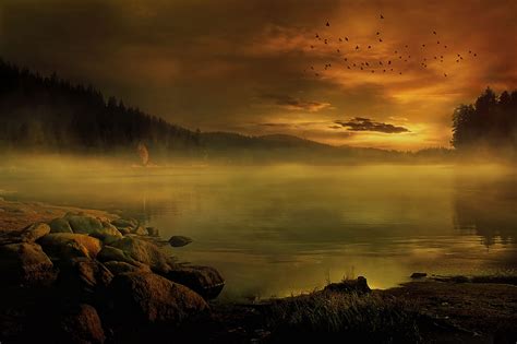 Mist On The Lake Download The Broad Picture Of Beautiful Nature For A