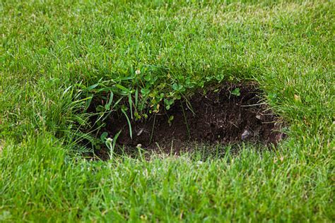 Royalty Free Hole In Grass Pictures Images And Stock Photos Istock