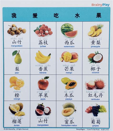 Bilingual Picture Magnets Chinese With Hanyu Pinyin And English