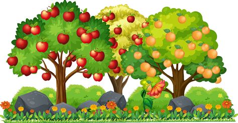 Apple Tree And Orange Tree Cartoon 8191734 Vector Art At Vecteezy