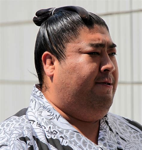 The Sumo Wrestler Martial Tribes