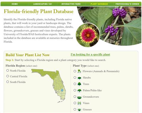 Florida Native Plants Gardening In The Panhandle