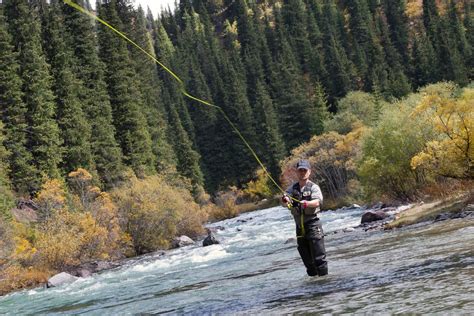 Trout Fishing In Washington State 10 Best Fly Fishing Locations