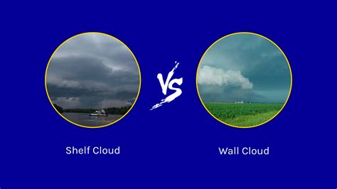 Shelf Cloud Vs Wall Cloud 12 Key Differences A Z Animals