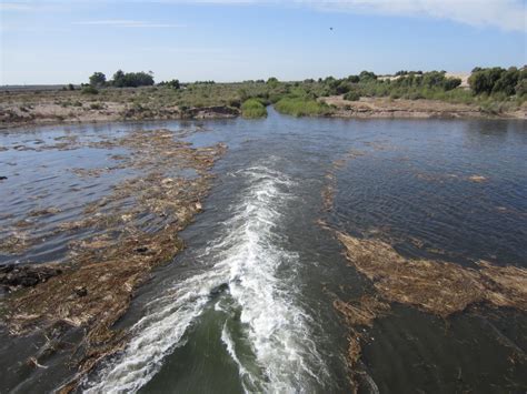 Colorado River Flows Into The Delta Pacific Institute