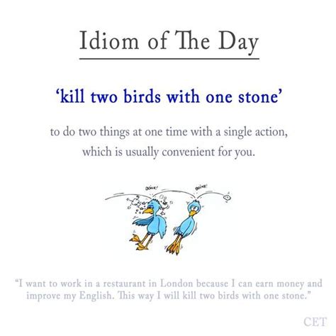 He could just sneak up on some unsuspecting birds and throw it at one of them, then pick it i will learne to stop two gaps with one bush. a little more than a century later, the phrase two birds, one stone is seen in a work by thomas hobbes. kill to birds with one stone #idioms #voc #ELT | Idiomatic ...