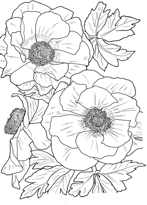 Flower Coloring Pages For Adults Best Coloring Pages For Kids
