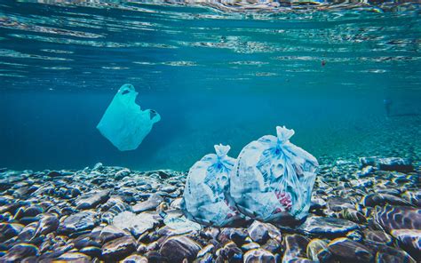 Plastic Wastes On Ocean Floor Pixahive