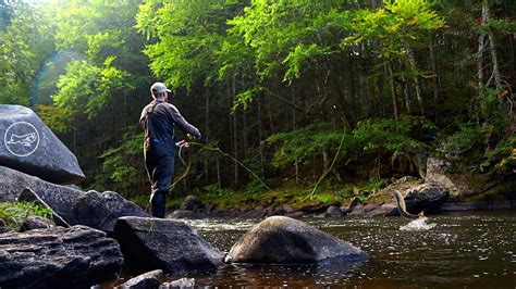 This River Was Full Of Native Brook Trout Western Maine Youtube