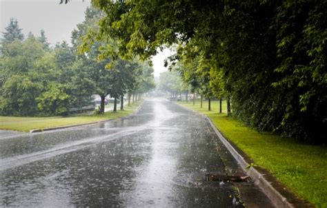 Photo Wallpaper City Road Trees Rainy Day Monsoon Season In