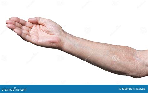 Worker Hand With By Cupped Palm Stock Image Image Of Empty