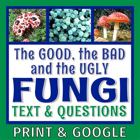 Fungi Worksheet High Worksheets For Kindergarten