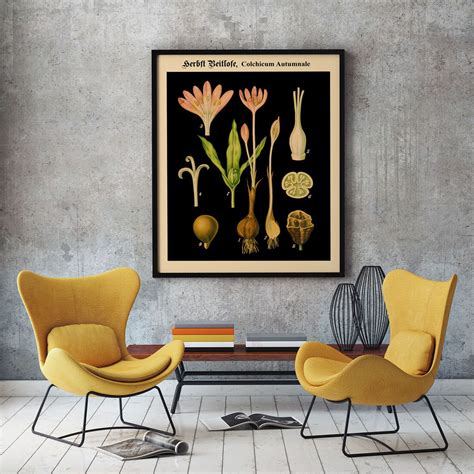 Black Botanical Prints Set Of 2 Rare German Botanical Charts Botanical