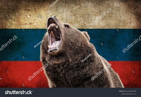 Russia National Symbol Bear Russia Flag Stock Photo 2134259187