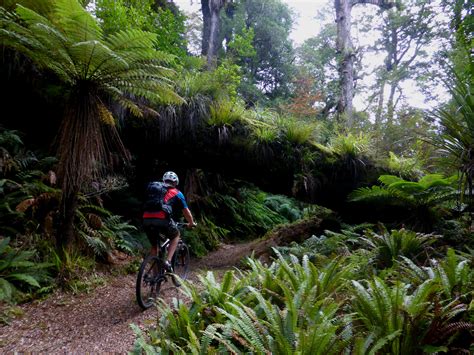 Experts Pick the Best Mountain Bike Trails in the World ...