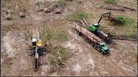 Drone Footage Of A Logging Operation Youtube