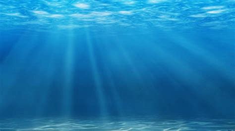El Top 48 Fondo Del Oceano Abzlocalmx
