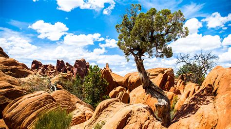 Arches National Park Wallpapers Hd Wallpapers Id 13810