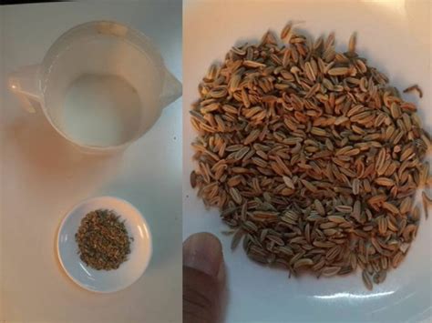 Resdung adalah penyakit yang disebabkan oleh adanya inflamasi atau keradangan pada dinding sinus. Inilah Cara Mudah Kecilkan 'Peha Drumstick' Dengan Air ...