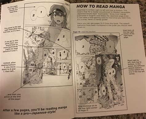 Art How To Read Manga Hataraku Saibō Rmanga