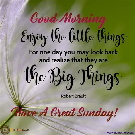 Best Sunday Morning Quotes Quotesnest In 2021 Sunday Morning Quotes