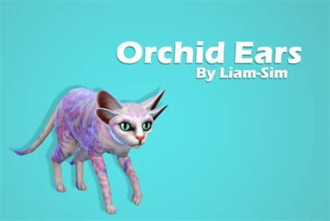 Orchid Ears Ts4petbody Sims Pets Sims 4 Pets Sims