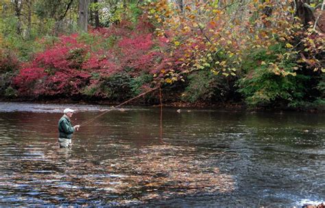 Fall Fly Fishing On Yellow Breeches Creek Copyright Artglo 2015