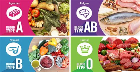 Blood Group Diet Guide Application First And Best