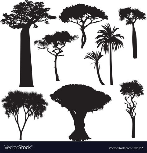 African Tree Silhouettes Royalty Free Vector Image