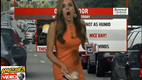 Funny Zoom Meeting Fails Work From Home Fails On Live Tv News Bloopers