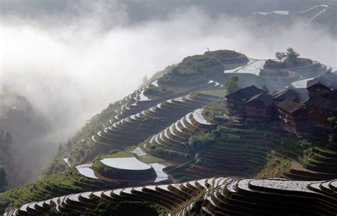 The Jinkeng Rice Terraces Site For Most Awesome Longji Photos