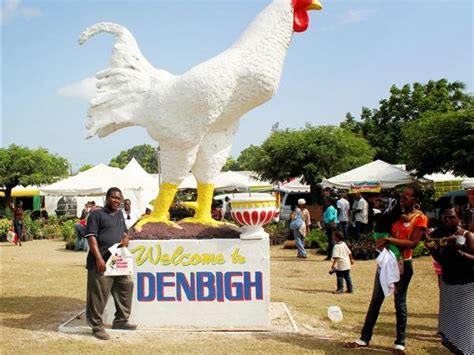 2018 Denbigh Agricultural Show 0806 By Crs Radio Network Music