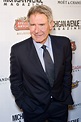Harrison Ford Won't Face Any Penalties Over Runway Incident, Attorney ...
