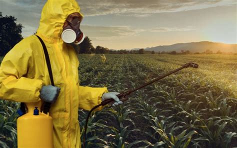 Epa Finds Glyphosate Is Likely To Injure Or Kill Of Endangered Species Faster Than Expected