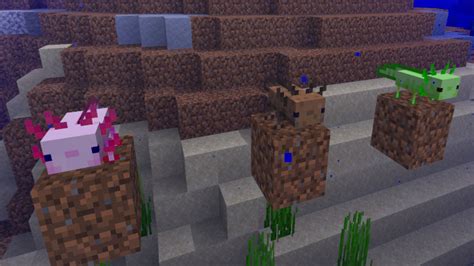 Minecraft Java Edition Snapshot Adds Axolotl From Caves