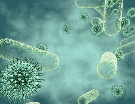 Covid 19 And Flu Viruses Often Have A Deadly Accomplice Bacterial