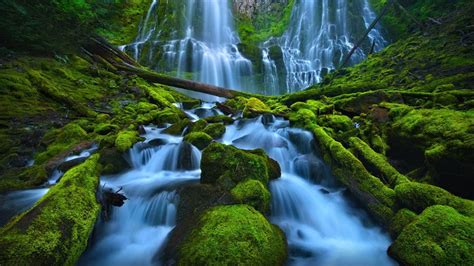 Beautiful Waterfall Rocks Green Moss Proxy Falls Eugene