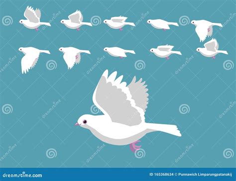 White Dove Flying Motion Animation Sequence Cartoon Vector Illustration