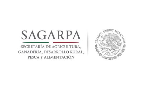 Sagarpa Delegación Campeche Abre Ventanillas Para Solicitar El Progan