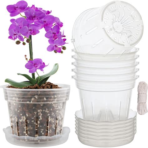 Buy Orchid Pot Clear Orchid Pots With Holes And Saucers Inch