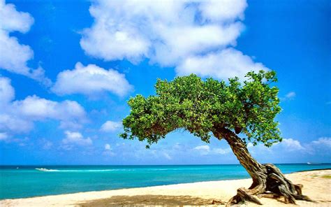 Aruba Hd Wallpapers Background Images