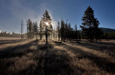 Amazing Nature Photography By Sandra Kreuzinger Amazing Pictures